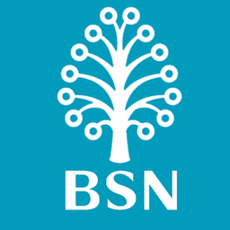 BSN BANK