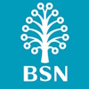BSN BANK
